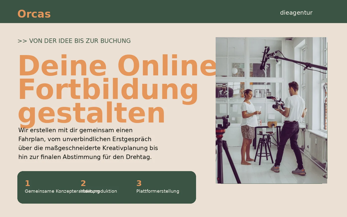 Vorher: frühere Orcas Agentur-Seite